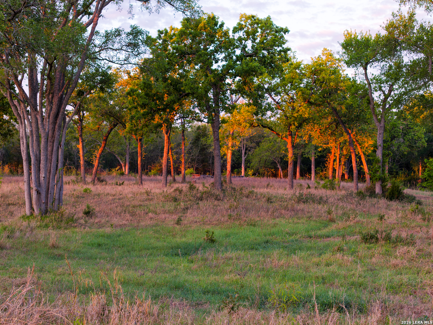 5098 S Fm 486 Thorndale TX 76577