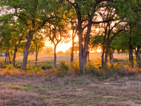 5098 S Fm 486 Thorndale TX 76577
