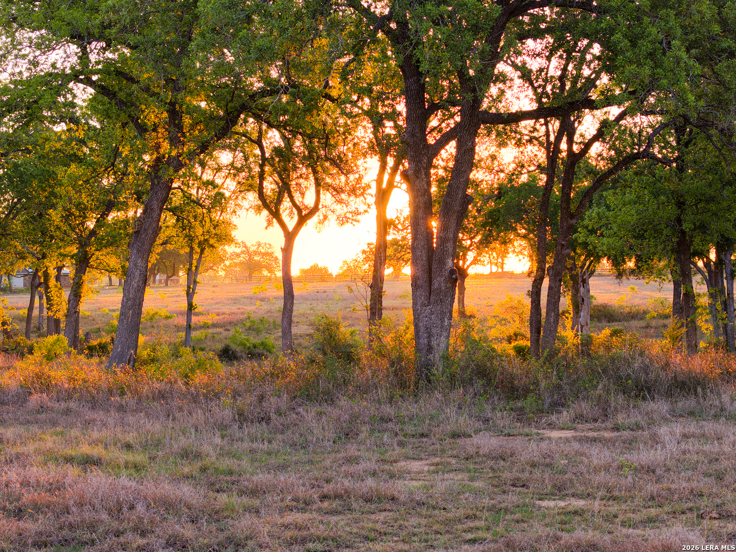 5098 S Fm 486 Thorndale TX 76577