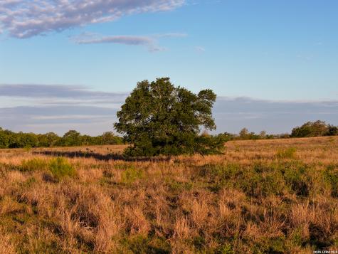 5098 S Fm 486 Thorndale TX 76577