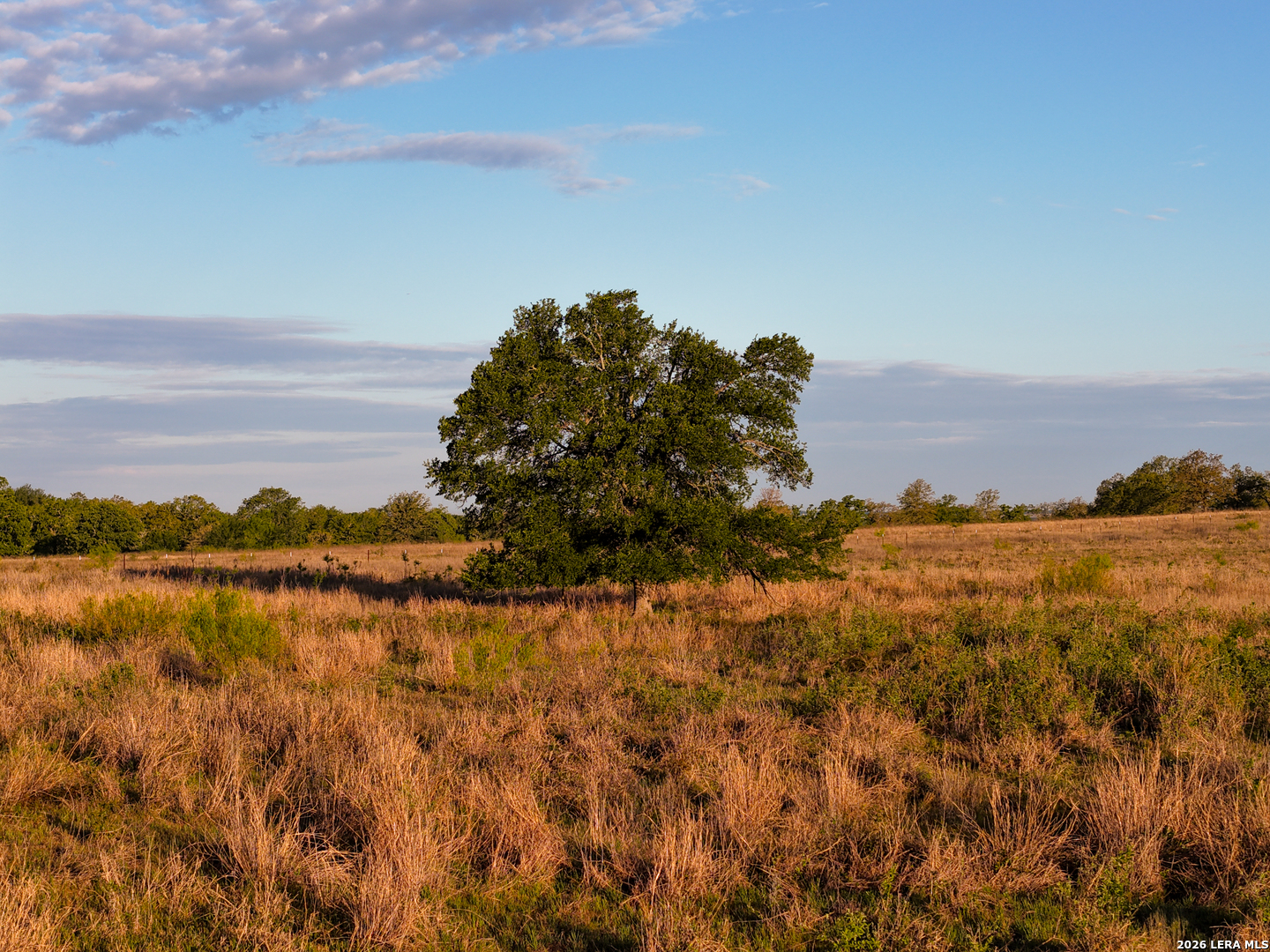5098 S Fm 486 Thorndale TX 76577