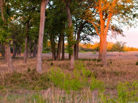 5098 S Fm 486 Thorndale TX 76577