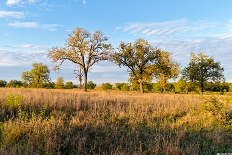 5098 S Fm 486 Thorndale TX 76577