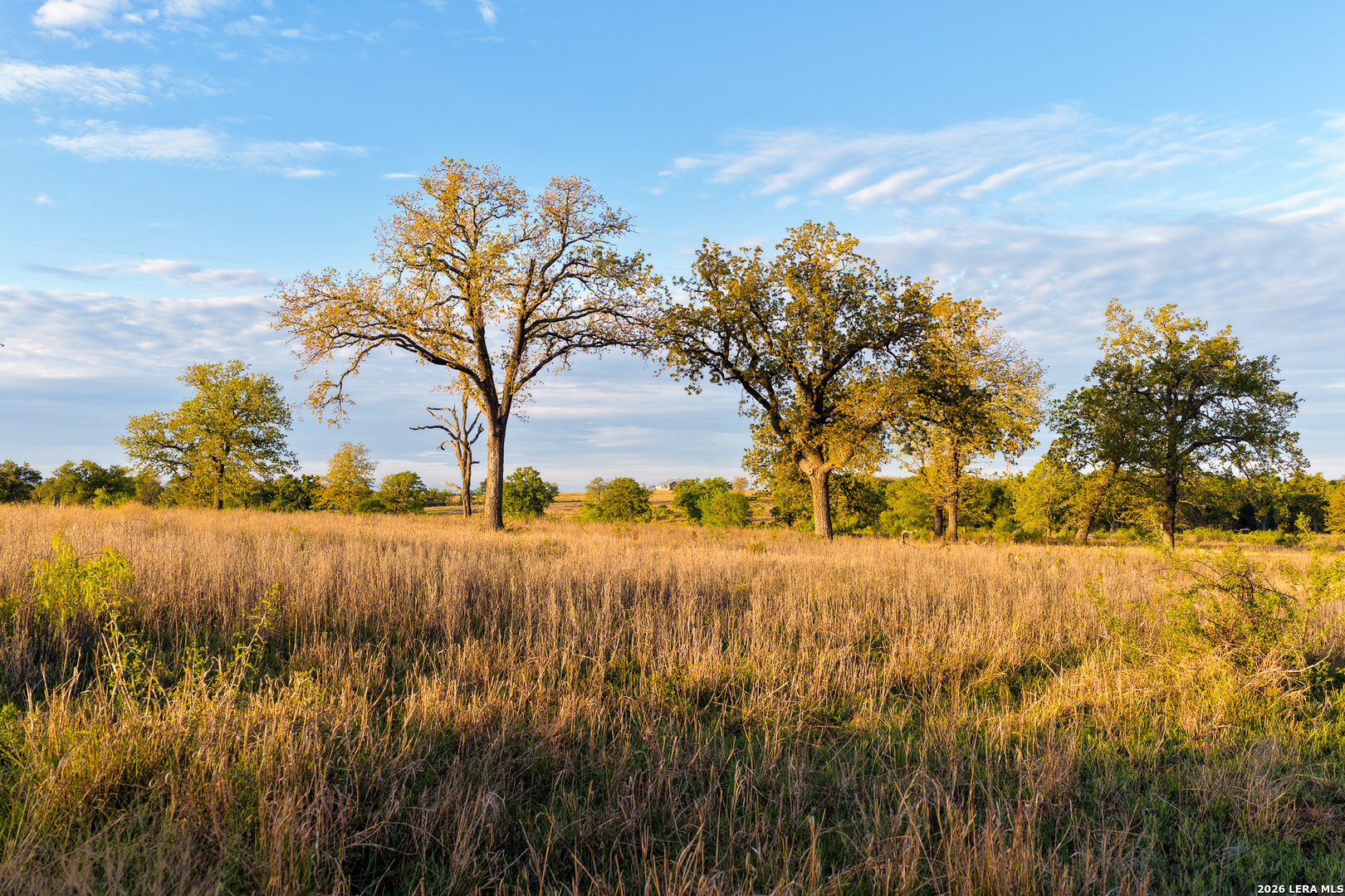 5098 S Fm 486 Thorndale TX 76577