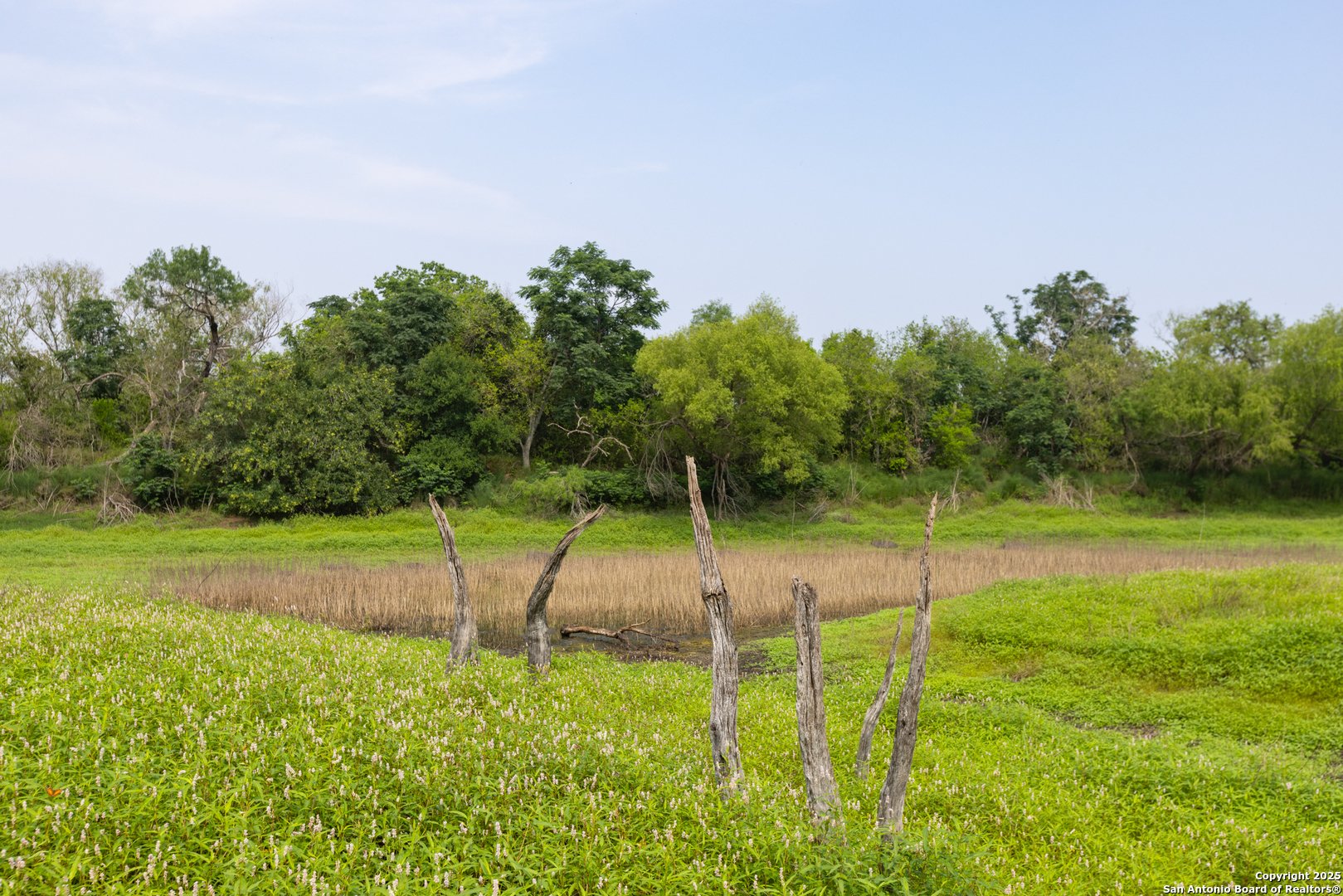 00 Shepherd Road Atascosa TX 78002