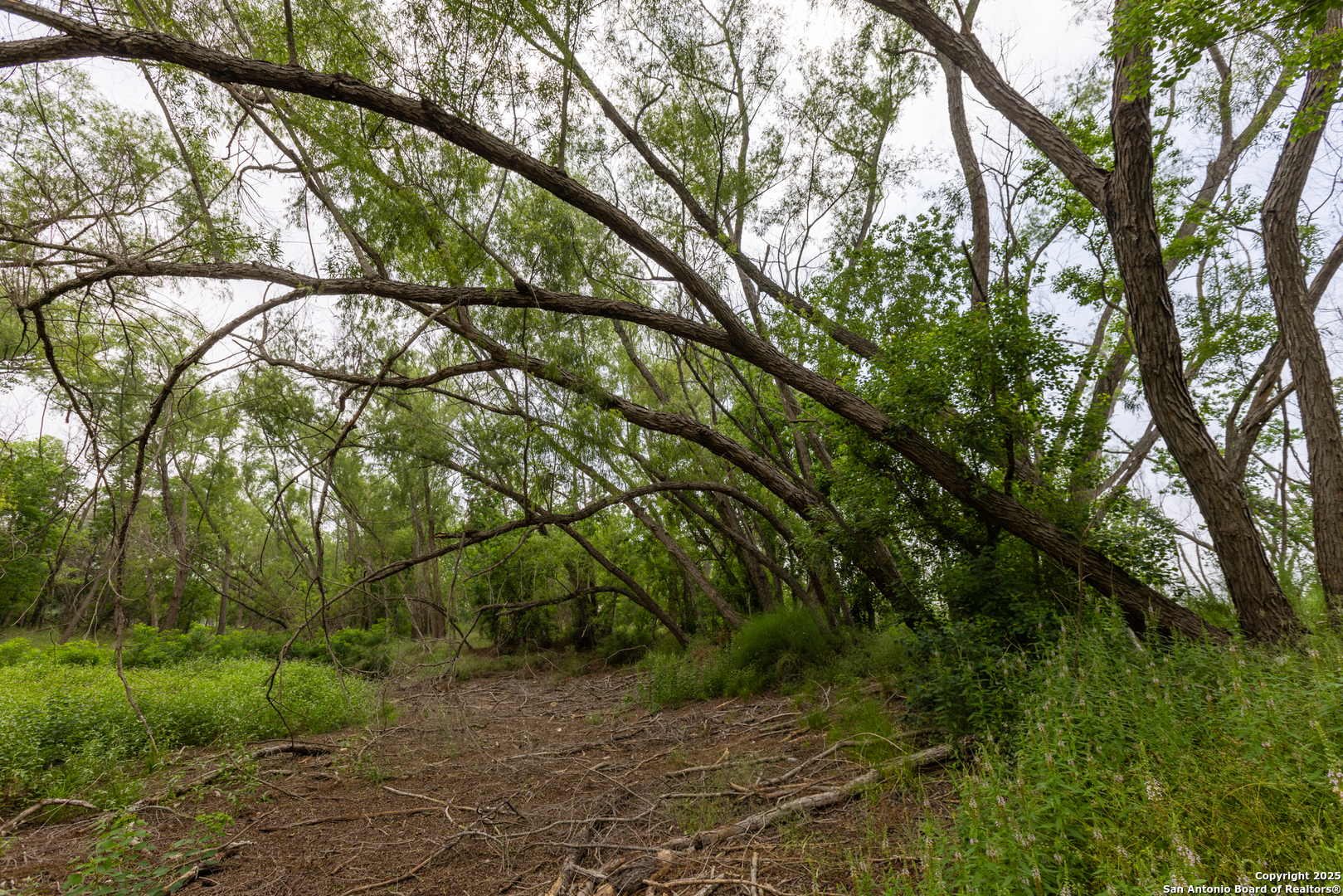 00 Shepherd Road Atascosa TX 78002