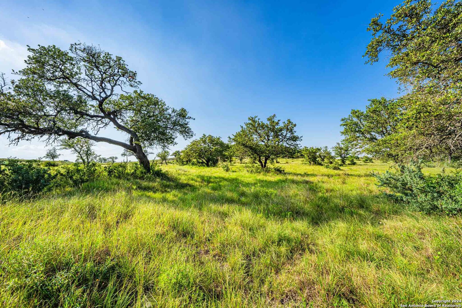 38 Seewald Road Boerne TX 78006