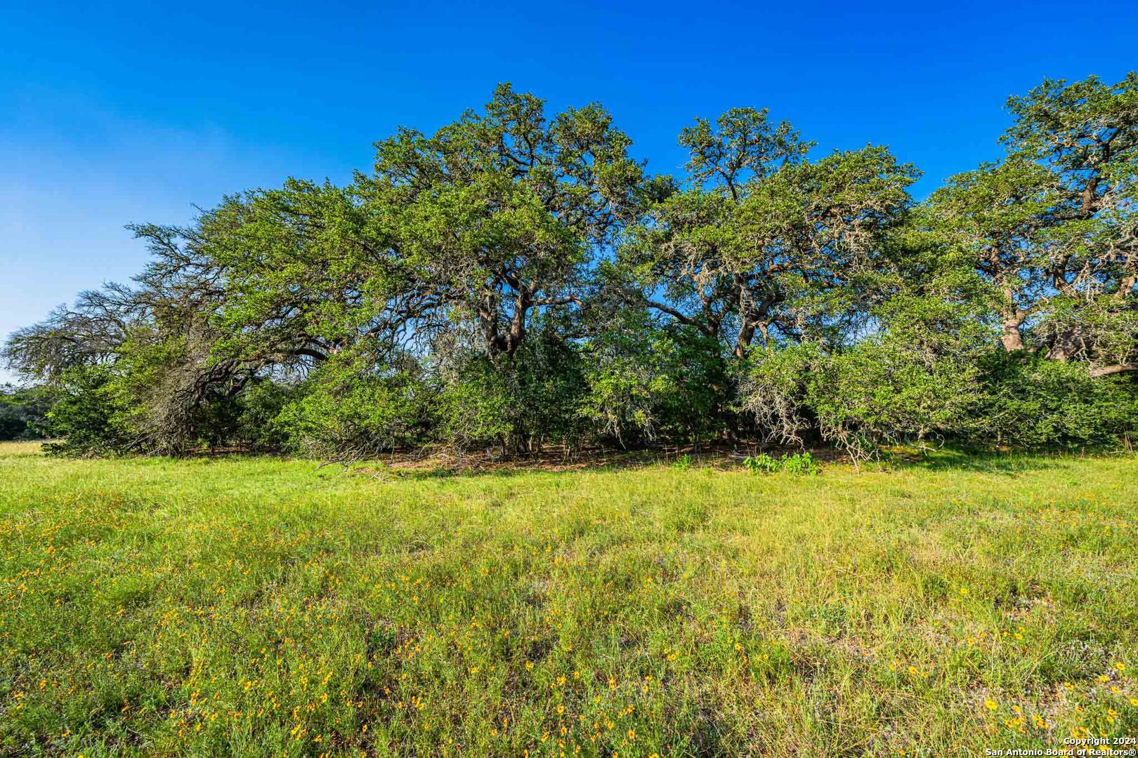 38 Seewald Road Boerne TX 78006