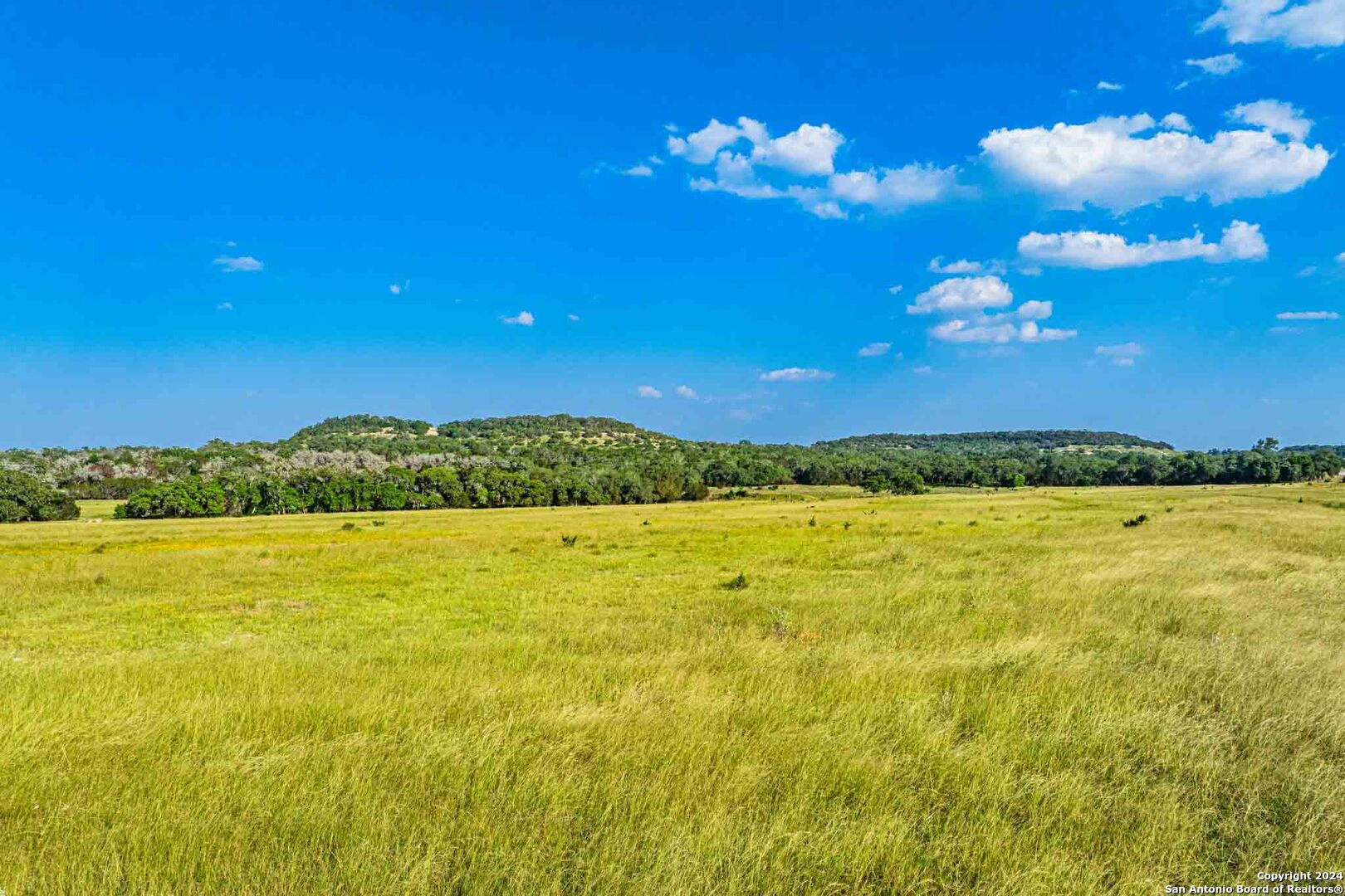 38 Seewald Road Boerne TX 78006