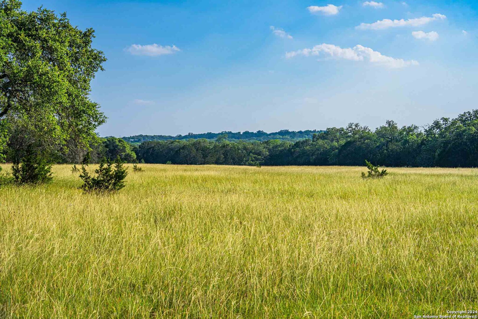 38 Seewald Road Boerne TX 78006