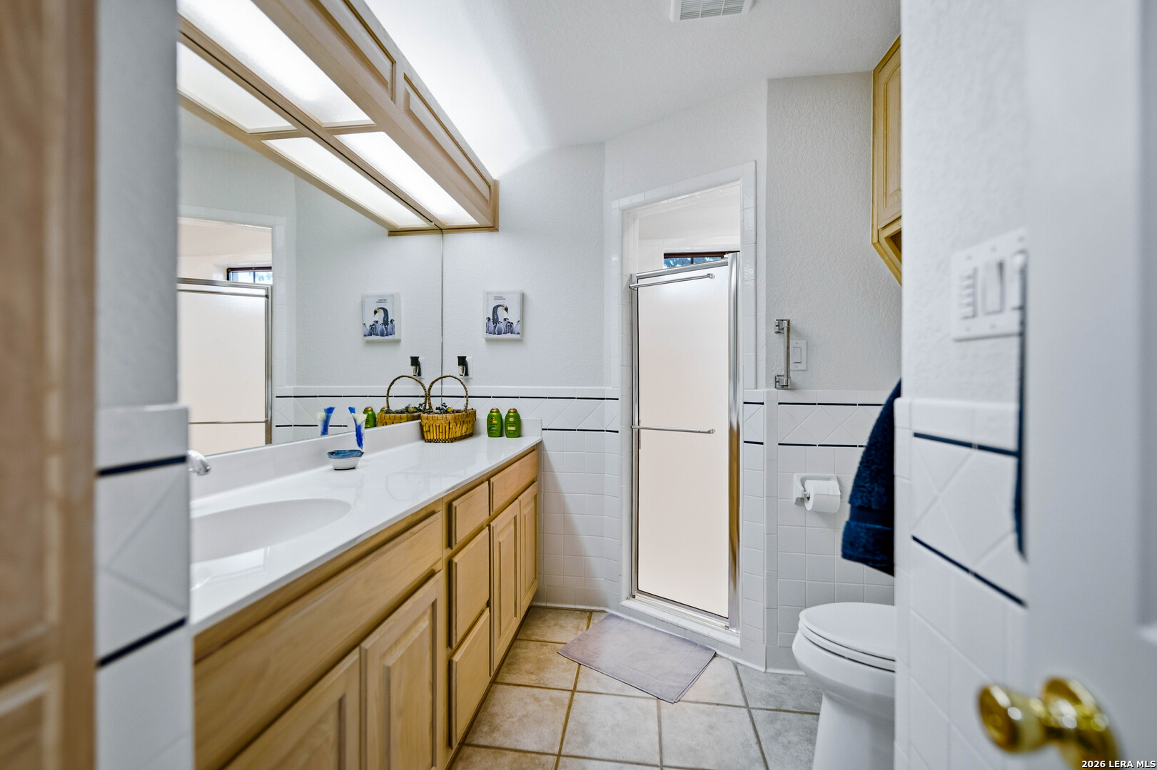13407 Fm 1346 St Hedwig TX 78152