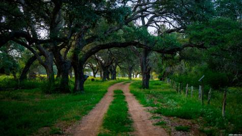 2288 Us Highway 77a Cuero TX 77954