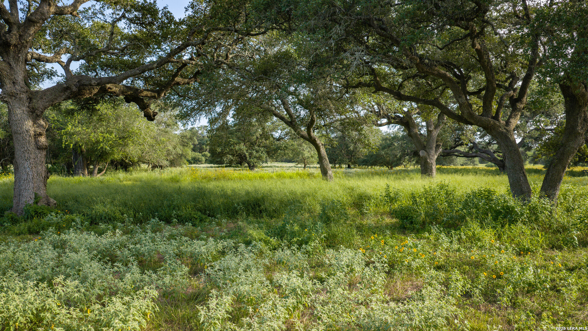 2288 Us Highway 77a Cuero TX 77954