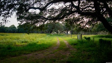 2288 Us Highway 77a Cuero TX 77954