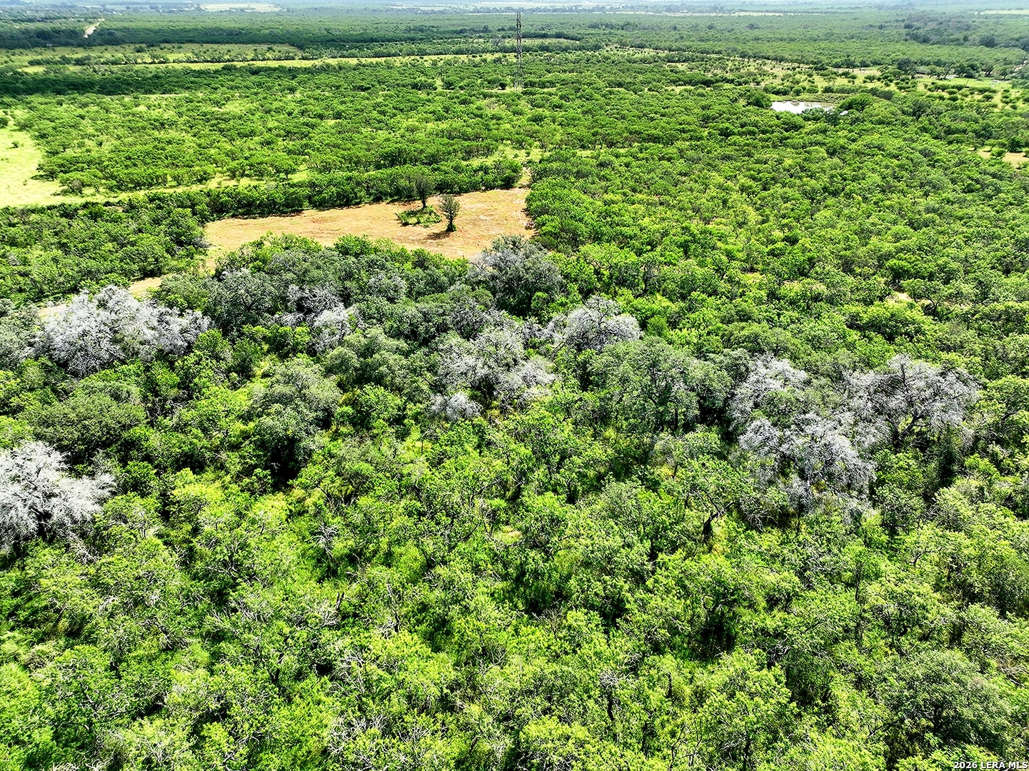 1591 County Road 476 Stockdale TX 78160