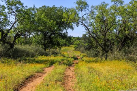 2199 Langes Mill Road Doss TX 78618