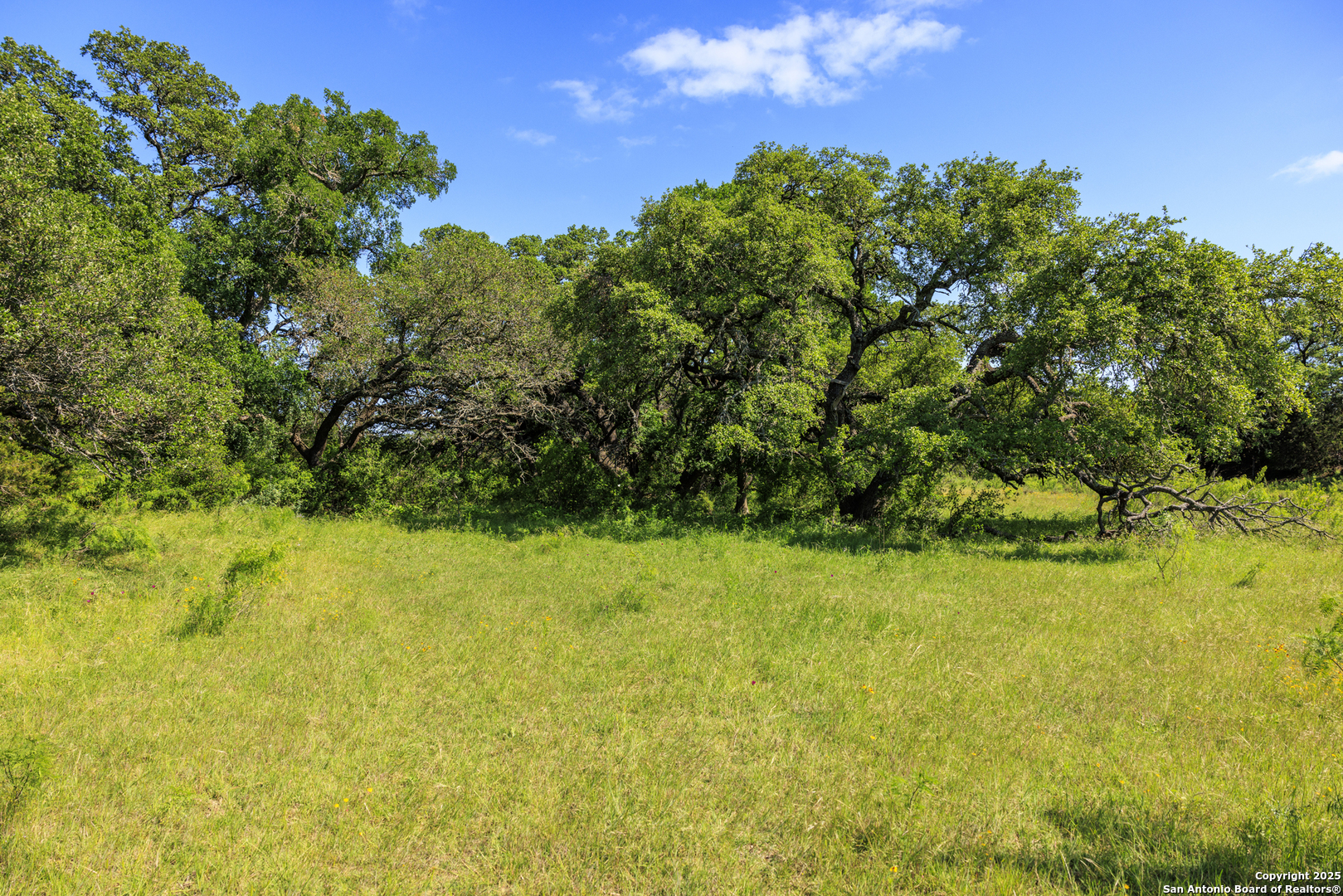 2199 Langes Mill Road Doss TX 78618