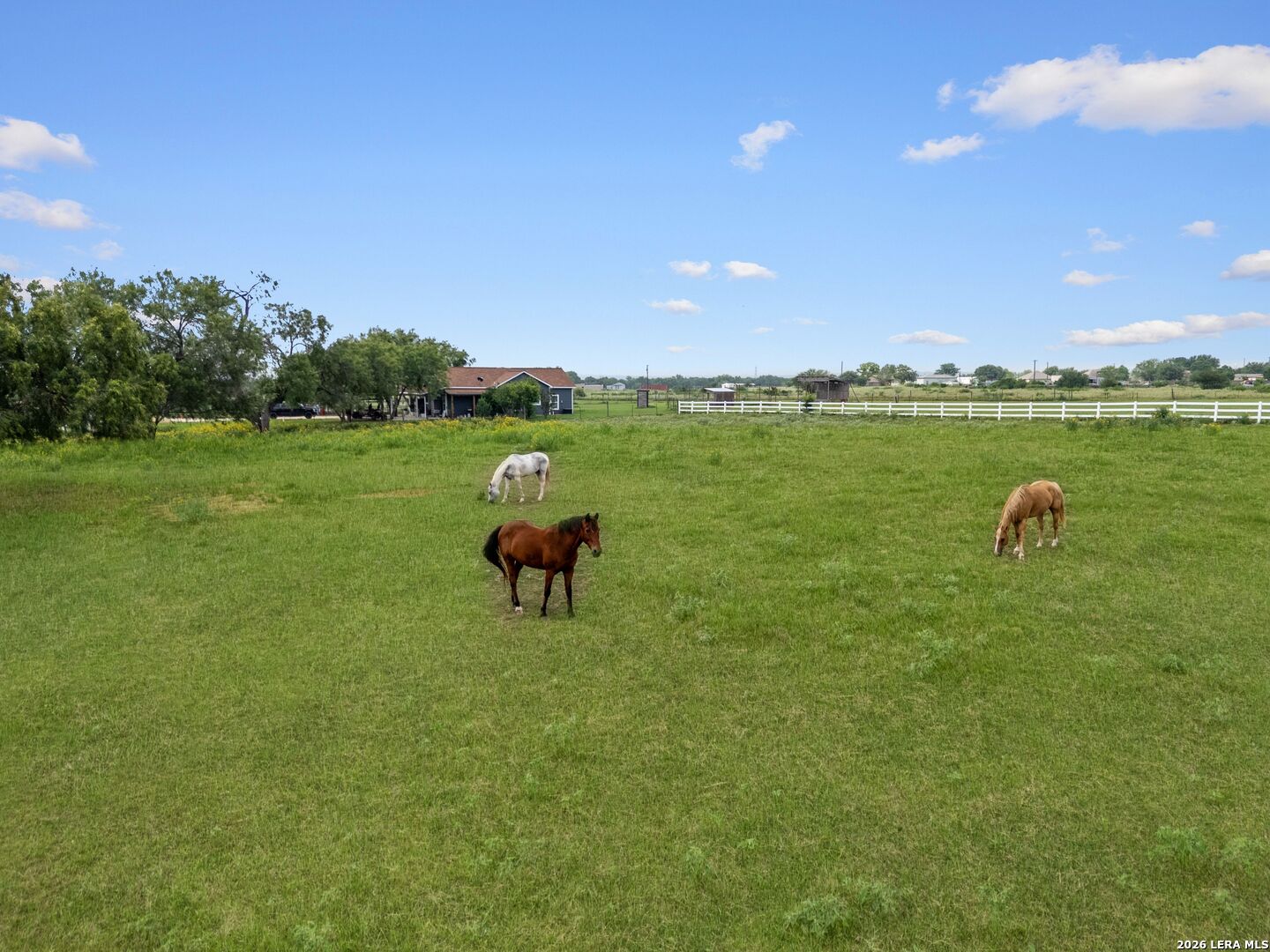 16371 Borregas Road Elmendorf TX 78112
