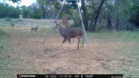 838 Fm 573 S Goldthwaite TX 76864