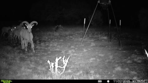 838 Fm 573 S Goldthwaite TX 76864