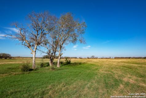 Tbd Bolton Marion TX 78124