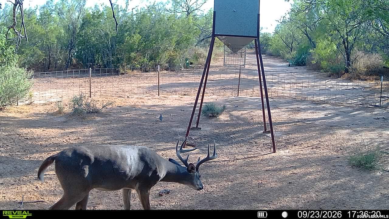 456 Escondido Road Carrizo Springs TX 78834