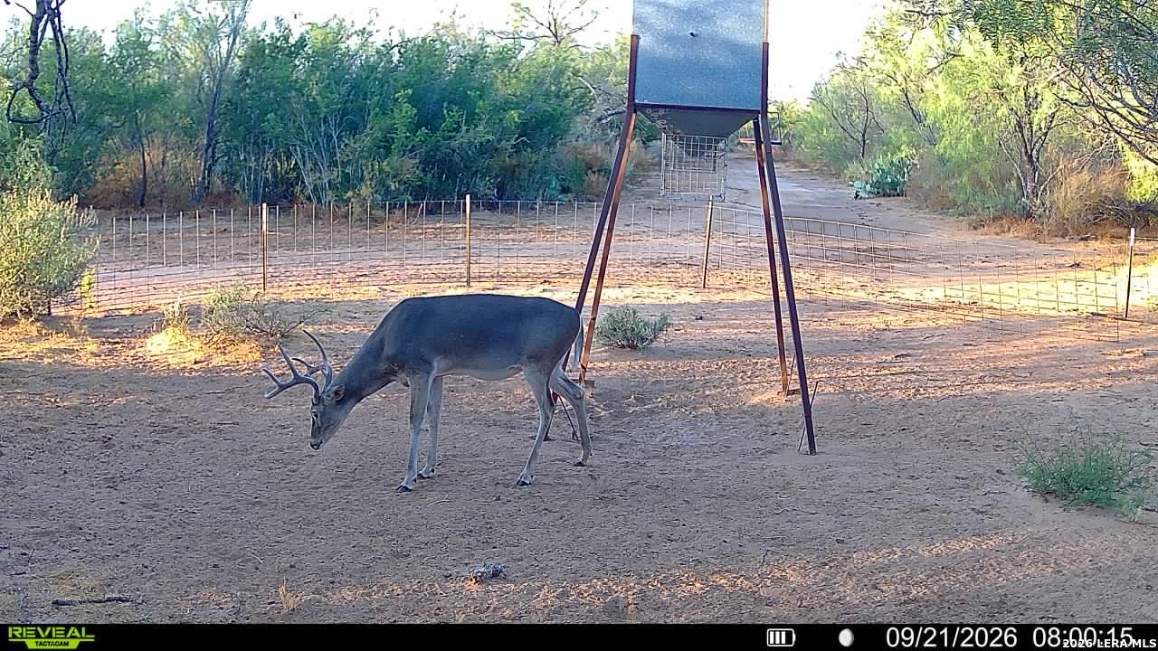 456 Escondido Road Carrizo Springs TX 78834