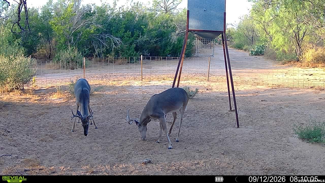456 Escondido Road Carrizo Springs TX 78834