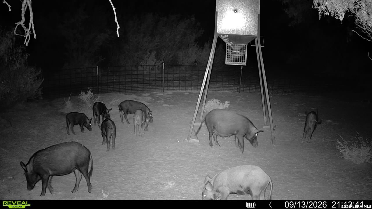 456 Escondido Road Carrizo Springs TX 78834