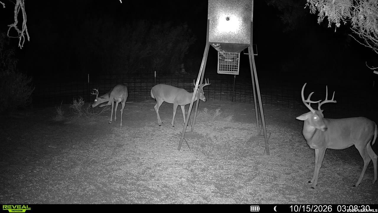 456 Escondido Road Carrizo Springs TX 78834