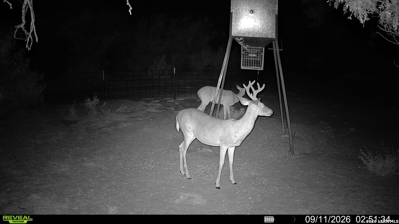 456 Escondido Road Carrizo Springs TX 78834