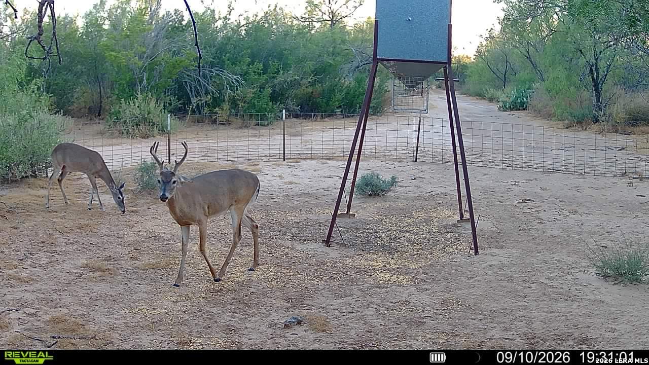 456 Escondido Road Carrizo Springs TX 78834