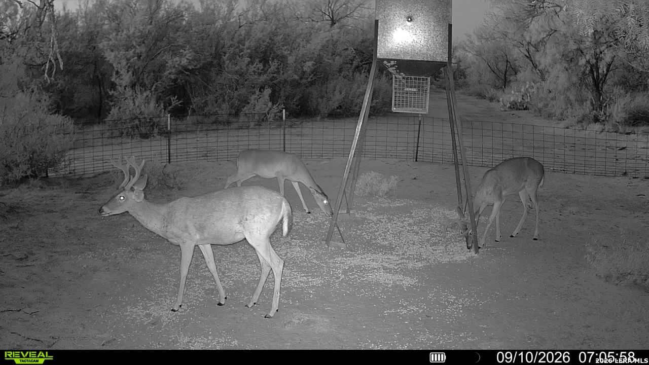 456 Escondido Road Carrizo Springs TX 78834