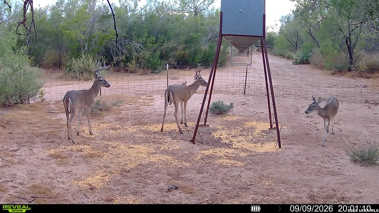 456 Escondido Road Carrizo Springs TX 78834