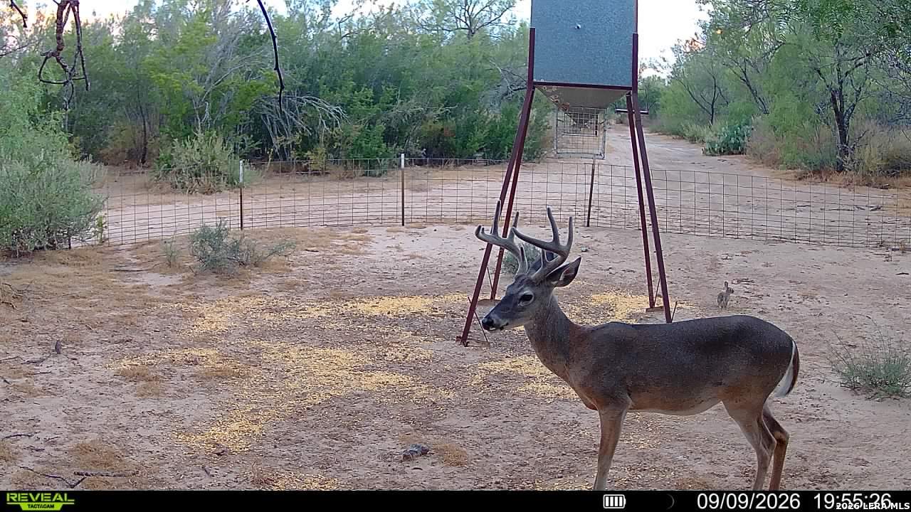 456 Escondido Road Carrizo Springs TX 78834