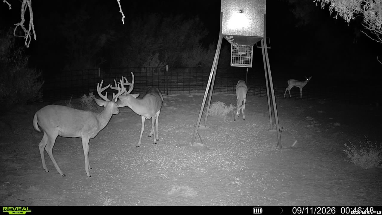 456 Escondido Road Carrizo Springs TX 78834