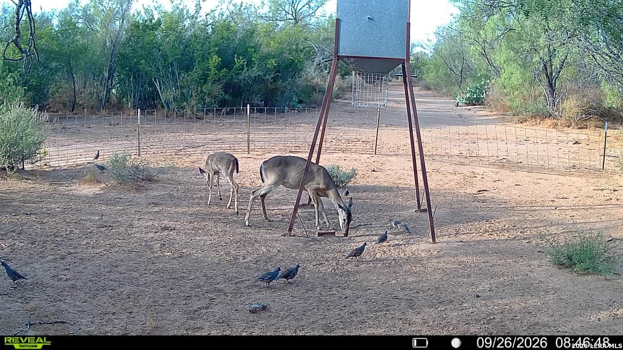 456 Escondido Road Carrizo Springs TX 78834