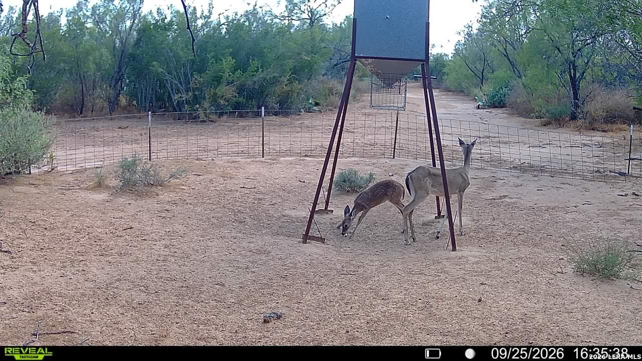 456 Escondido Road Carrizo Springs TX 78834
