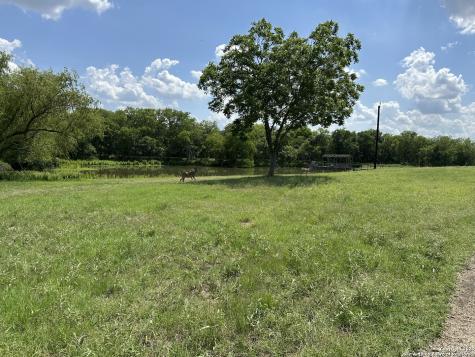10745 Rosemar Lane Adkins TX 78101