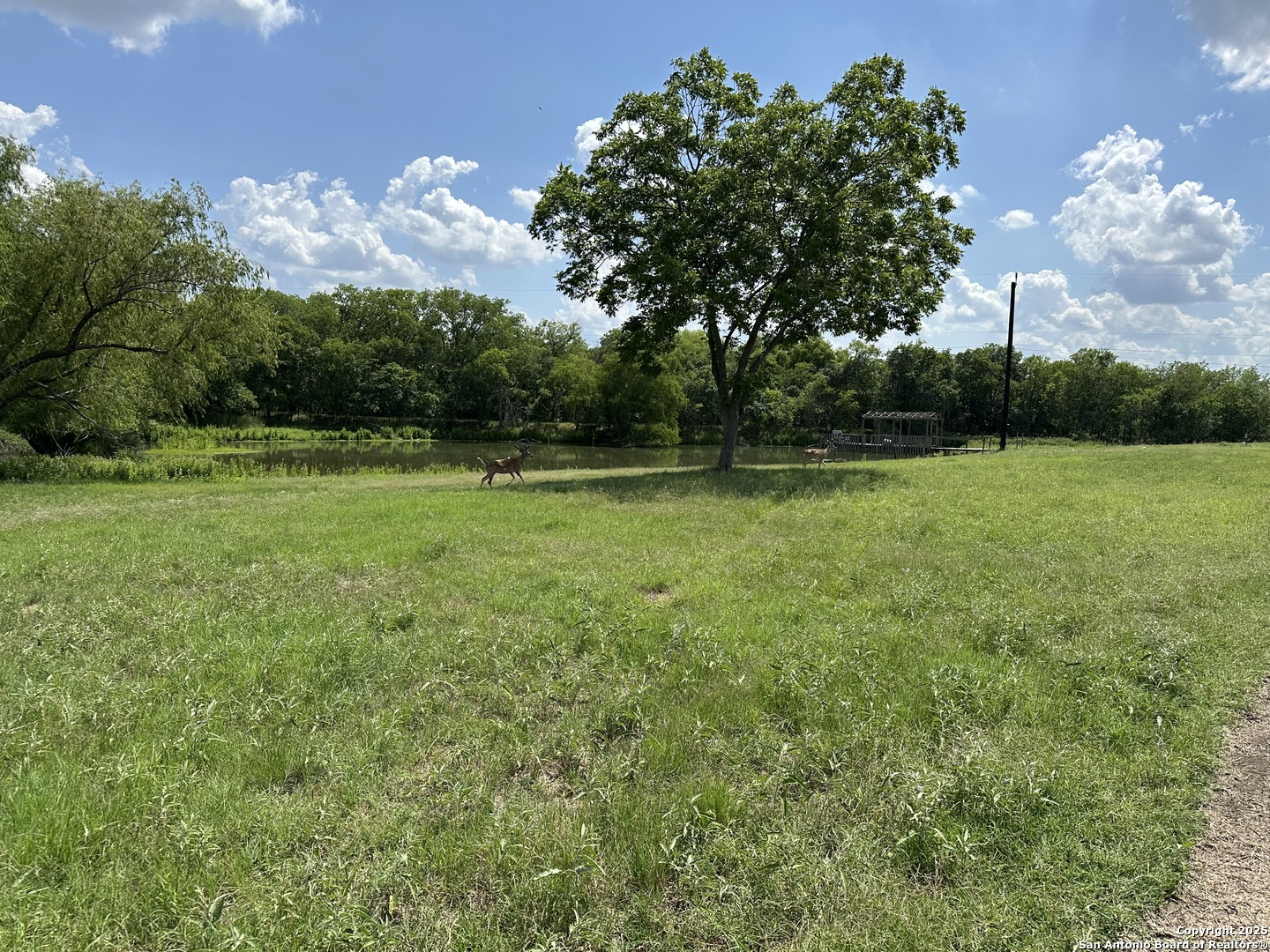 10745 Rosemar Lane Adkins TX 78101