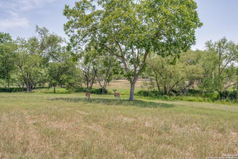 10745 Rosemar Lane Adkins TX 78101