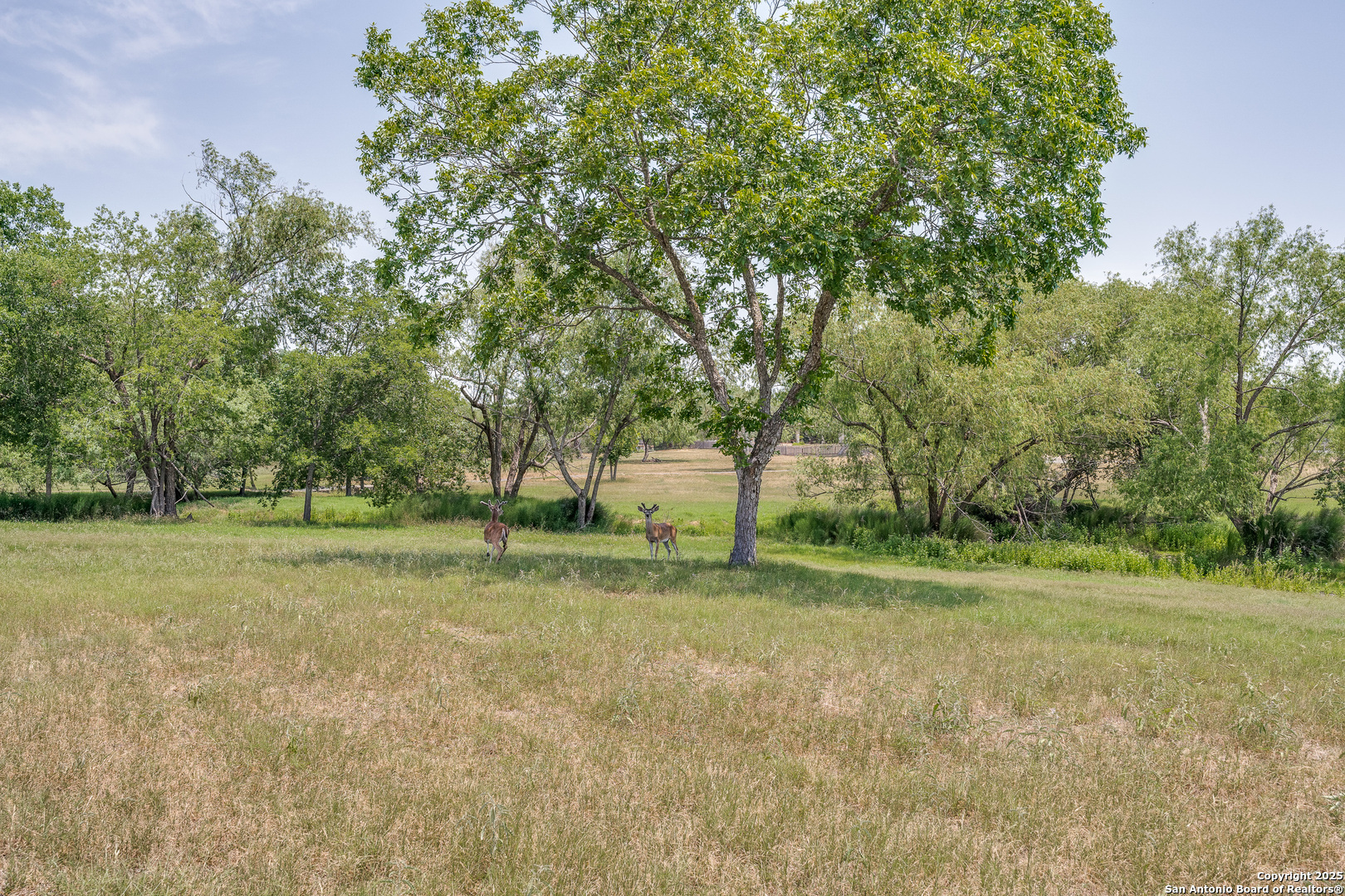 10745 Rosemar Lane Adkins TX 78101
