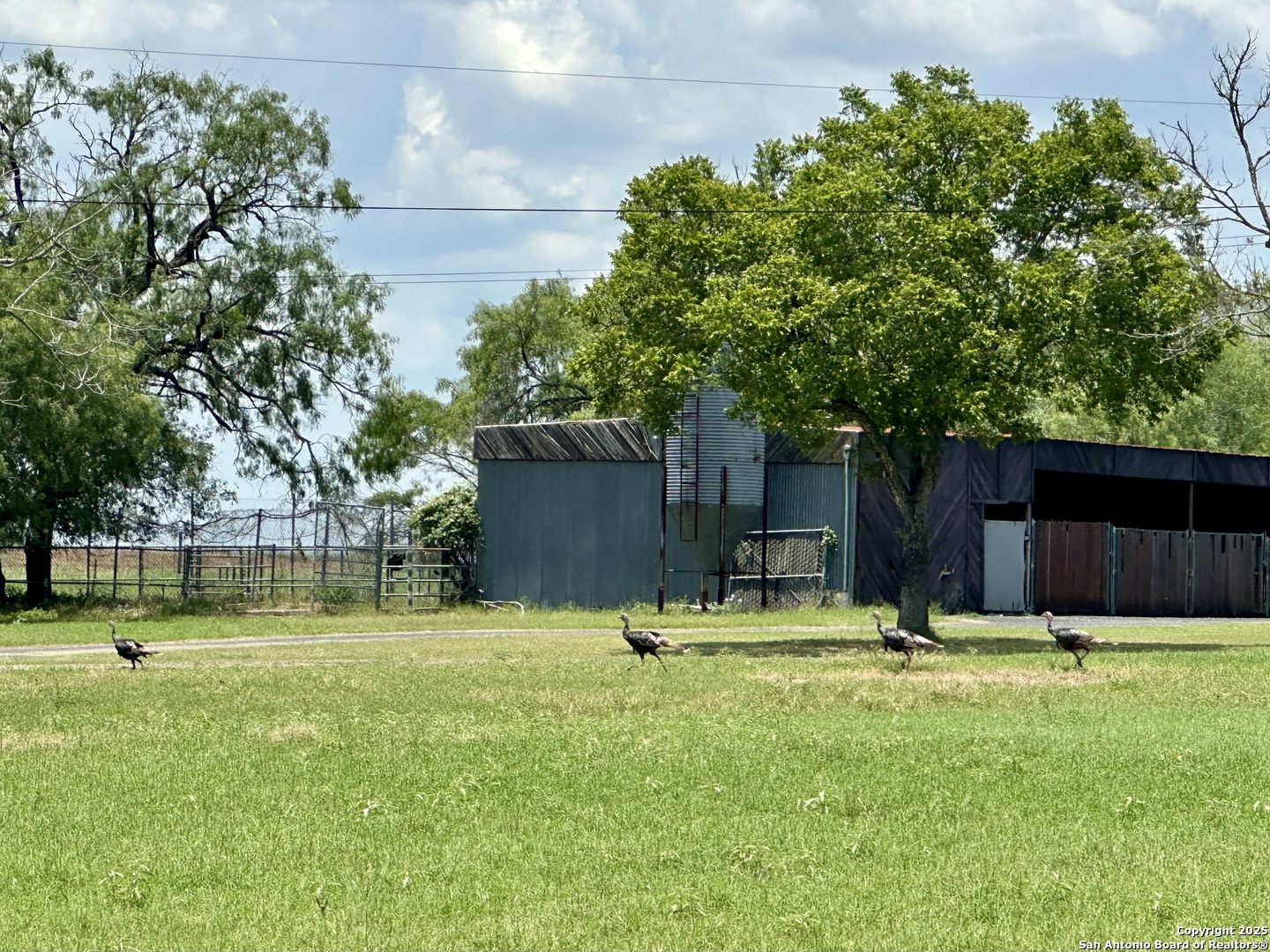 10745 Rosemar Lane Adkins TX 78101