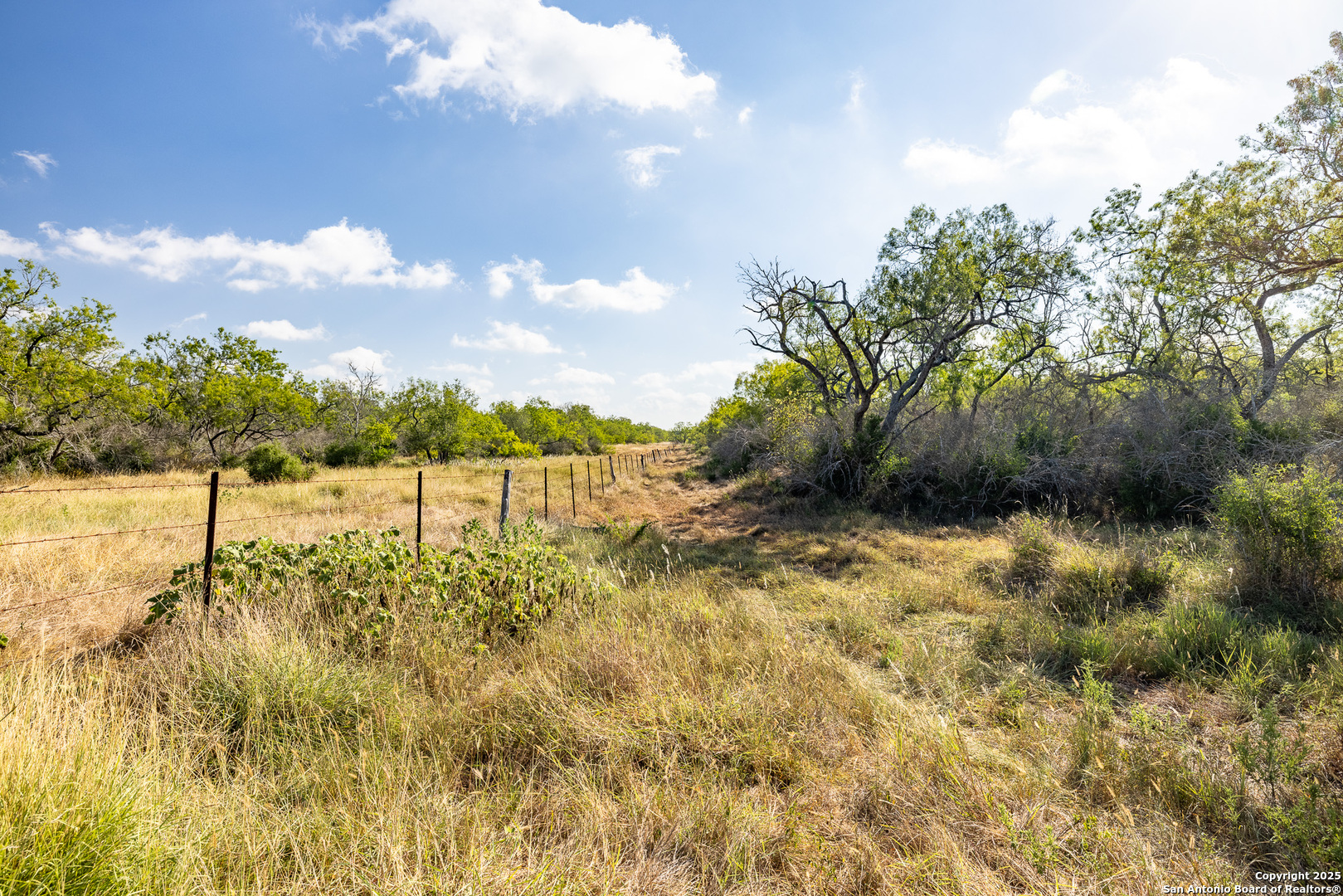 Tbd Fm 108 Smiley TX 78159