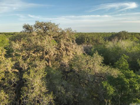 1305 Fm 799 George West TX 78022