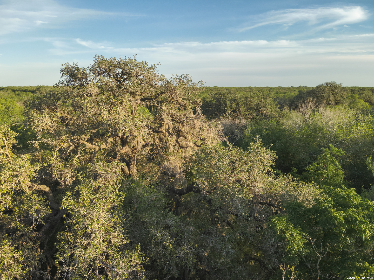 1305 Fm 799 George West TX 78022