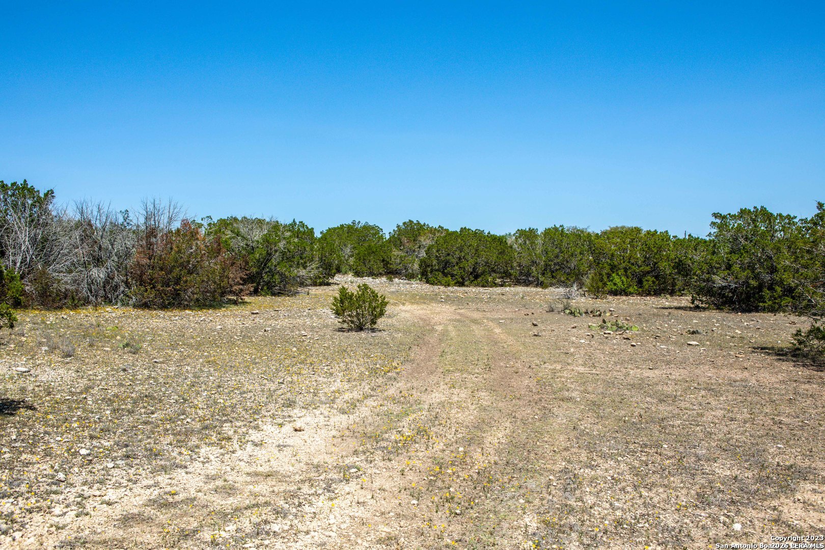 2013 Sd 24740 Rocksprings TX 78880