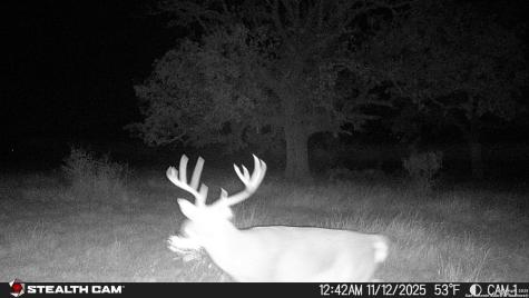 740 Optimist Way Bandera TX 78003