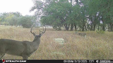 740 Optimist Way Bandera TX 78003