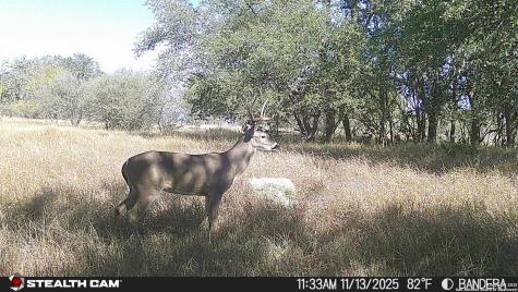 740 Optimist Way Bandera TX 78003